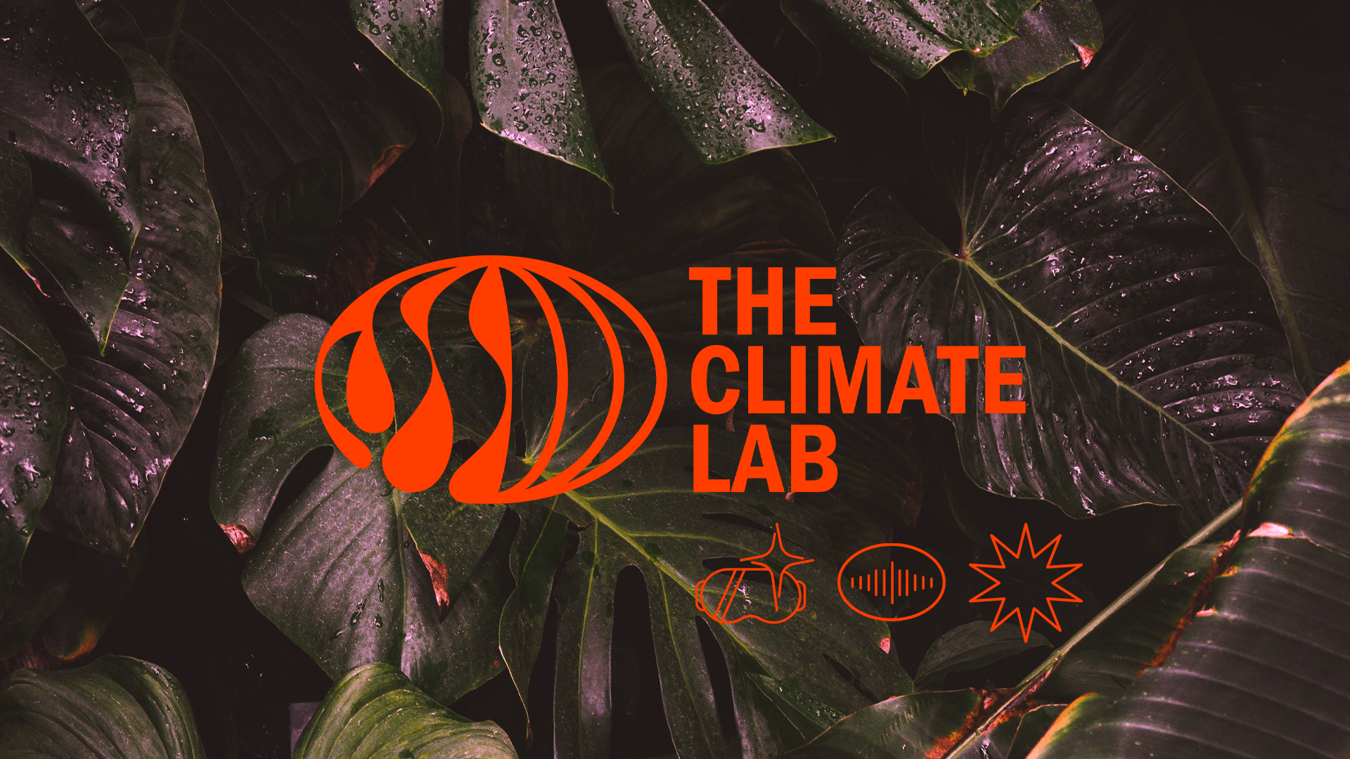 Innowacje VR/AR dla środowiska i klimatu | The Climate Lab